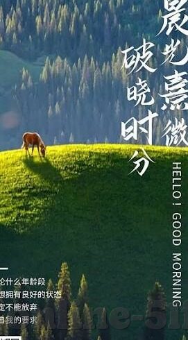 大象传媒链接-大象传媒链接，构建数字时代文化传播的新桥梁