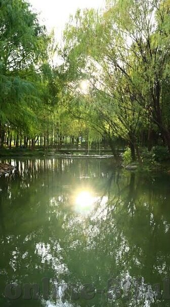 果冻传媒麻豆-果冻传媒与麻豆，数字浪潮下的文化碰撞与审美再探