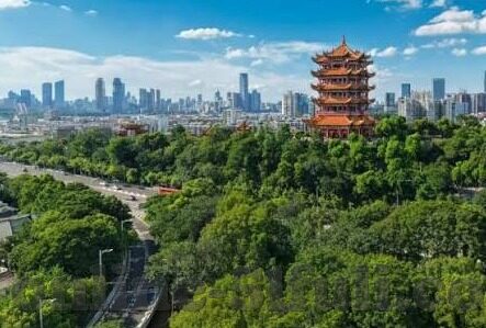 伦理秋霞影网中文2018-伦理的秋霞，2018年中文网络环境的一次反思