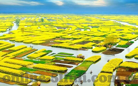 麻豆传媒视频花絮-麻豆传媒视频背后的故事——一段精彩的幕后花絮揭秘