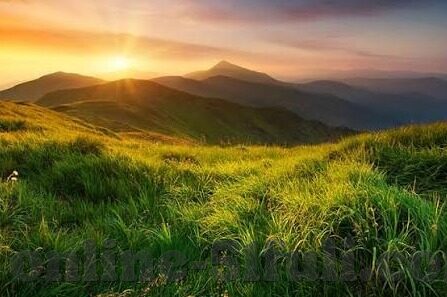 麻豆免费小视频-