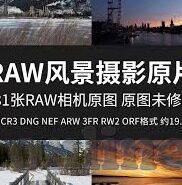 如何下载大象传媒-探索大象传媒的下载之旅，从初识到实践