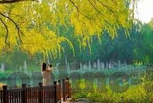 糖心视频vlog官网入口-打开全新视界，探寻糖心视频Vlog官网的精彩之旅